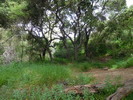 Featured Full Photo