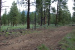 photo thumbnail #4