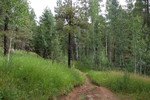 photo thumbnail #6