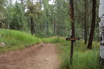 photo thumbnail #7