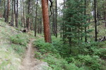 photo thumbnail #9