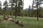 photo thumbnail #10