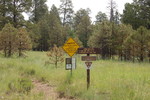 photo thumbnail #13