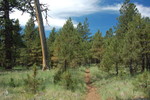 photo thumbnail #14
