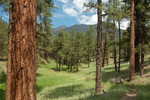 photo thumbnail #15