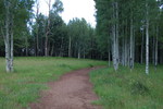 photo thumbnail #1