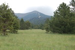 photo thumbnail #6