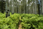 photo thumbnail #3