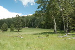 photo thumbnail #8