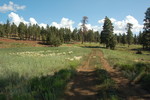 photo thumbnail #7