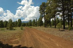 photo thumbnail #9