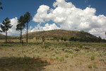 photo thumbnail #11