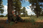 photo thumbnail #13