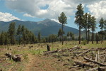 photo thumbnail #15