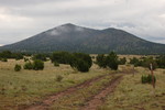 photo thumbnail #7