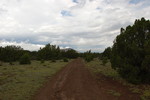 photo thumbnail #10