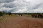 photo thumbnail #12