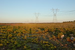 photo thumbnail #1