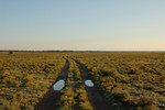 photo thumbnail #3