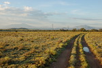 photo thumbnail #4