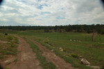 photo thumbnail #13