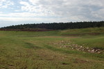 photo thumbnail #14
