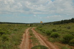 photo thumbnail #15