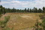 photo thumbnail #7