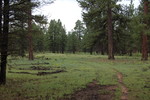 photo thumbnail #11