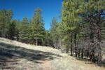 photo thumbnail #3