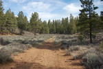 photo thumbnail #4