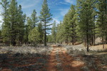 photo thumbnail #5
