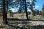 photo thumbnail #12