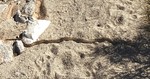 photo thumbnail #1