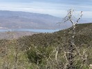 photo thumbnail #7