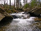 photo thumbnail #5
