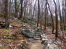 photo thumbnail #6