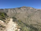 photo thumbnail #2