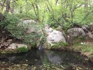 photo thumbnail #3