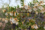 photo thumbnail #2