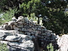 photo thumbnail #7