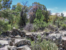 photo thumbnail #12