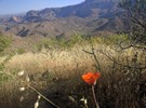 photo thumbnail #9