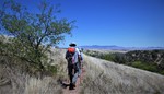 photo thumbnail #6