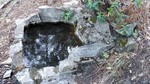 photo thumbnail #2