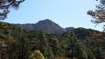 photo thumbnail #11