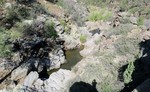 photo thumbnail #4