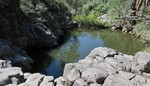 photo thumbnail #6