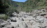 photo thumbnail #9