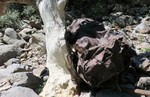 photo thumbnail #12